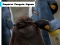 Mäng Emperor Penguin Jigsaw Internetis