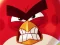 Mäng Angry Birds vs Pigs Internetis
