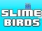 Mäng Slime Birds Internetis