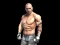 Mäng Fight Arena Online Internetis