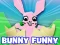 Mäng Bunny Funny Internetis