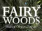 Mäng Fairy Woods Hidden Objects Internetis