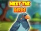 Mäng Meet The Birds Internetis