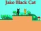 Mäng Jake Black Cat Internetis