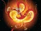 Mäng Chinese Dragons Coloring Internetis
