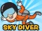 Mäng Skydiver Internetis