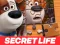 Mäng The Secret Life of Pets Jigsaw Puzzle Internetis
