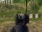 Mäng Army Shooter Internetis
