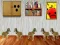 Mäng Dog Room Escape Internetis