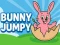 Mäng Bunny Jumpy Internetis