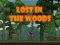 Mäng Lost in the Woods Internetis