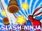 Mäng Slash Ninja Internetis