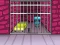 Mäng G2M Prison Escape Internetis