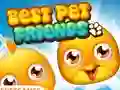 Mäng Best Pet Friends Internetis