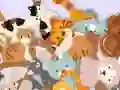 Mäng Find The Kitty Internetis