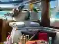Mäng Caribbean Crime Internetis