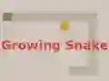 Mäng Growing Snake Internetis