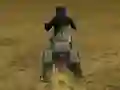 Mäng Real Moto Stunts Challenge Internetis