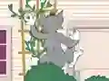 Mäng Tom und Jerry: Wasserbomben Wahnsinn Internetis
