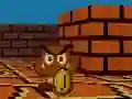Mäng Mario FPS Internetis