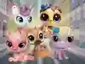 Mäng Little Pet Shop: Hide and Seek Internetis