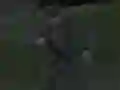 Mäng Soviet Sniper Internetis