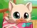 Mäng My Pocket Pets Kitty Cat Internetis