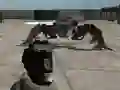 Mäng Mech Aggression Internetis