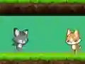 Mäng Cat vs Dog Internetis