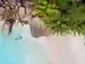 Mäng Seychelles Beach Jigsaw Puzzle Internetis