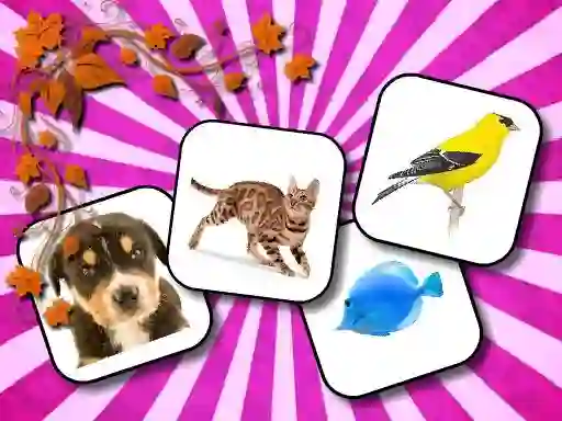 Mäng Animals Memory Internetis