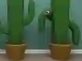 Mäng Cactus Cube Internetis