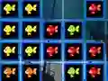 Mäng 1010 Fish Blocks Internetis