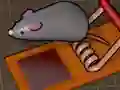 Mäng Feed the Mouse Internetis