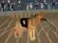 Mäng Crazy Dog Racing Fever Internetis