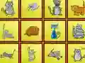 Mäng Cats Findiff Internetis