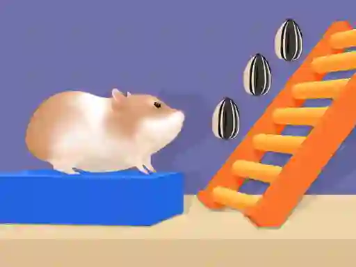 Mäng Hamster Stack Maze Internetis