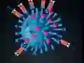 Mäng Kill The Coronavirus Internetis