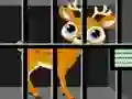Mäng Animals Rescue Internetis
