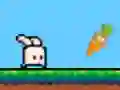 Mäng Bouncing Bunny Internetis