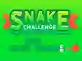 Mäng Snake Challenge Internetis