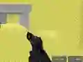 Mäng Pixel Combat Multiplayer Internetis