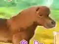 Mäng My Dear Pony Internetis