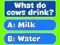 Mäng Trivia Best Family Quiz Internetis