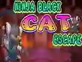 Mäng Ninja Black Cat Escape Internetis