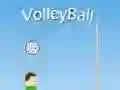 Mäng VolleyBall Internetis