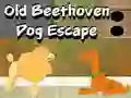 Mäng Old Beethoven Dog Escape Internetis