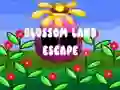 Mäng Blossom Land Escape Internetis