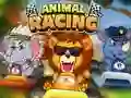 Mäng Animal Racing Internetis