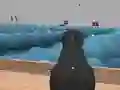 Mäng Ships 3D Internetis